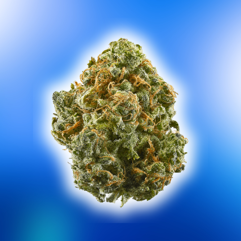 Buy Blue Dream Weed