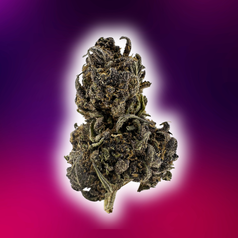 Buy Tropicana Cherry Weed