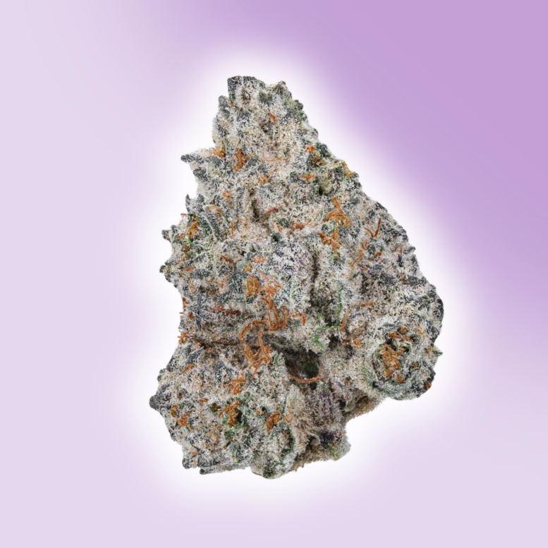 Buy White Truffle Weed